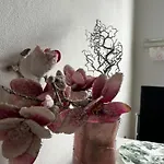 Gemuetliche Ferienwohnung-appartement דירה באד אויינהאוזן