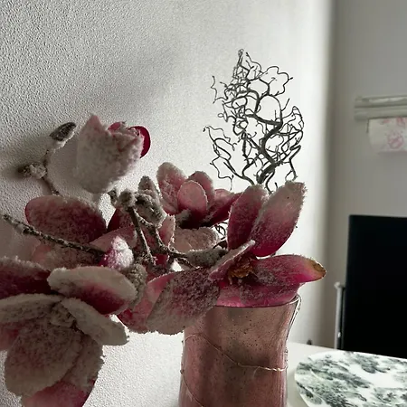 Gemuetliche Ferienwohnung-appartement Apartmán Bad Oeynhausen
