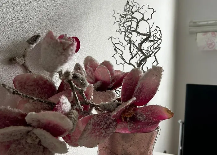 Gemuetliche Ferienwohnung-appartement Lejlighed Bad Oeynhausen